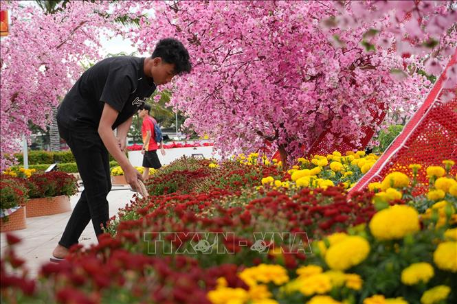 Công trình Vườn hoa Xuân đang được đẩy nhanh tiến độ thi công tại khu vực trước Bảo tàng tỉnh Khánh Hòa, cơ sở 2 (phường Phan Rang). Ảnh: Nguyễn Thành – TTXVN