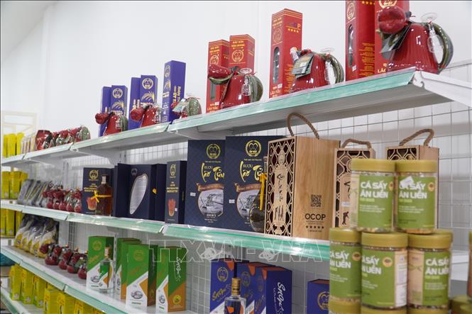Cửa hàng OCOP 3 miền quy tụ hơn 30 chủ thể OCOP với trên 70 dòng sản phẩm đạt chuẩn 4 - 5 sao. Ảnh: Thu Hiền - TTXVN      