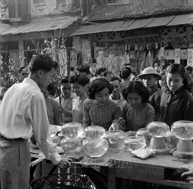 Người dân thủ đô chọn mua cá vàng tại phố Hàng Lược trong ngày 28, 29 và 30 Tết (Hà Nội, 1966). Ảnh: TTXVN