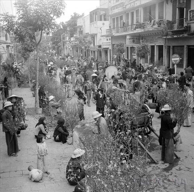 Chợ hoa Hàng Lược những ngày giáp Tết. Ảnh: TTXVN