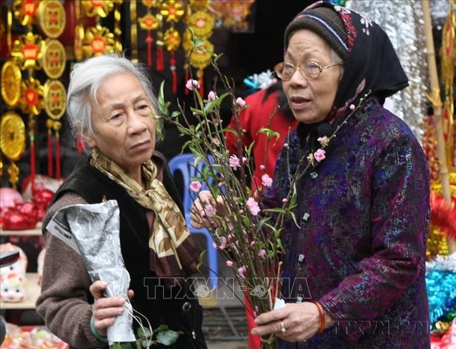 Hai người bạn già chia sẻ về mấy cành dăm đào vừa mua được ở chợ hoa Hàng Lược Tết Kỷ Sử (2009). Ảnh: Nhật Anh-TTXVN