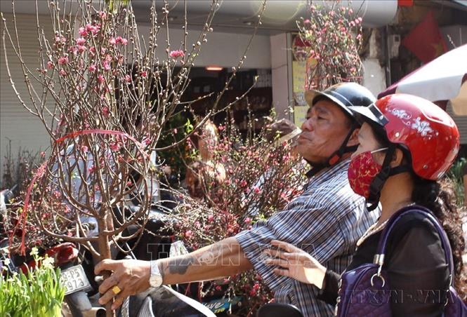 Người dân chọn mua hoa đào ở chợ hoa Hàng Lược (2010). Ảnh: Anh Tuấn - TTXVN