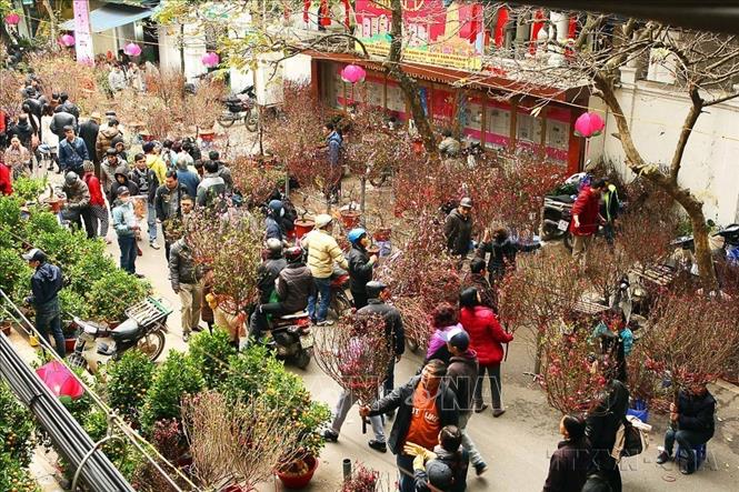 Một góc chợ hoa phố Hàng Lược Tết Bính Thân (2016). Ảnh: Tuấn Anh - TTXVN