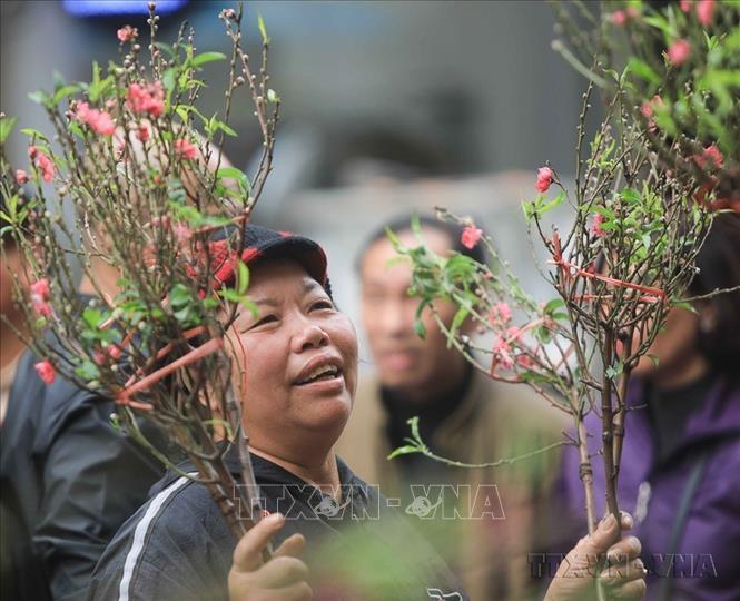 Ngày 23/1/2020 (tức ngày 29 tháng chạp), ngày đầu tiên của kỳ nghỉ Tết Nguyên đán Canh Tý, đông đảo người dân đến với chợ hoa truyền thống Hàng Lược(Hà Nội) để chọn mua đào, quất, đồ trang trí nhà cửa đón Tết. Ảnh: Thanh Tùng-TTXVN