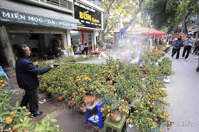 Chợ hoa Hàng Lược chiều 25 tháng Chạp Tết Quý Mão (2023). Ảnh: Nhật Anh - TTXVN