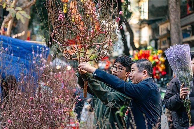Với nhiều người Hà Nội, đi chợ Hàng Lược sắm sửa Tết là một thói quen mỗi dịp Tết đến, Xuân về (2025). Ảnh: Phạm Tuấn Anh - TTXVN