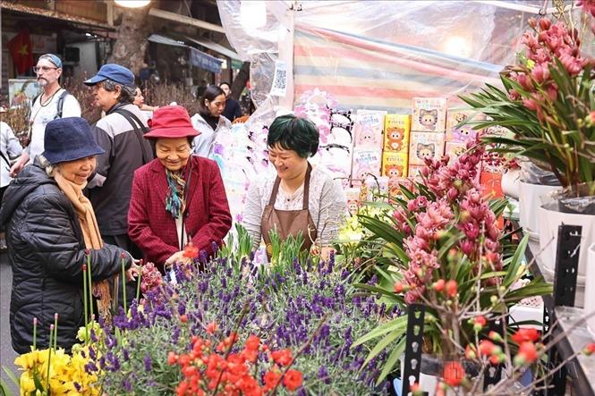 Người dân đến chợ hoa Tết Hàng Lược không chỉ để mua sắm mà con như nét sinh hoạt văn hóa độc đáo của người Thủ đô (2025). Ảnh: Minh Đức - TTXVN