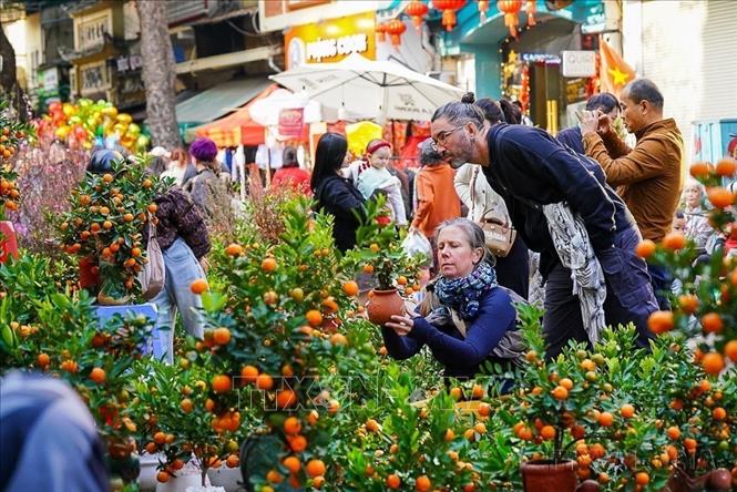 Khách nước ngoài hoà cùng không khí sắm Tết  Ất Tỵ tại chợ hoa Hàng Lược (2025). Ảnh: Khánh Hoà - TTXVN