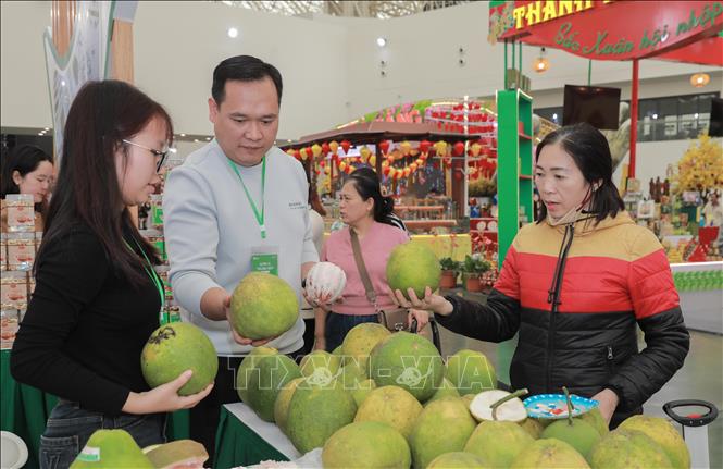 Gian hàng tỉnh Đồng Nai mang đến hội chợ nhiều sản phẩm đặc trưng của địa phương, đồng thời triển khai các chương trình khuyến mãi nhằm kích cầu tiêu dùng. Ảnh: Phan Phương – TTXVN