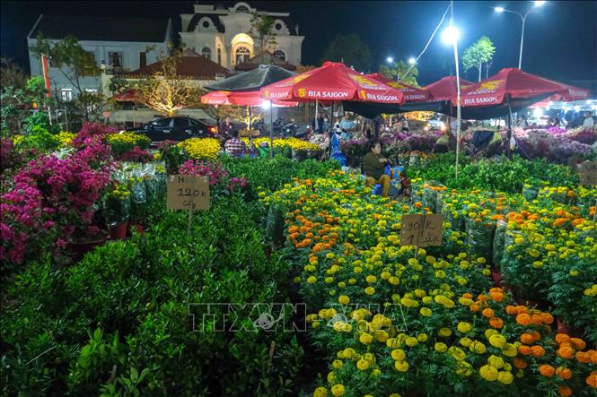 Chợ hoa Xuân Bính Ngọ 2026 của thành phố Cần Thơ được tổ chức tại đường Lý Thái Tổ và đường Mai Chí Thọ, phường Hưng Phú. Ảnh: Thanh Liêm - TTXVN