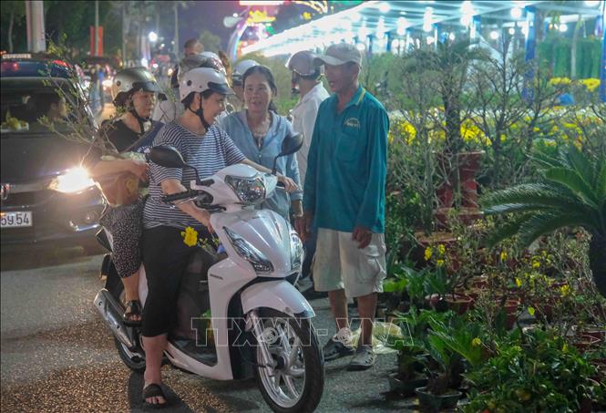 Người dân chọn mua mai Tết tại chợ hoa xuân trên đường Mai Chí Thọ, phường Hưng Phú, thành phố Cần Thơ. Ảnh: Thanh Liêm - TTXVN
