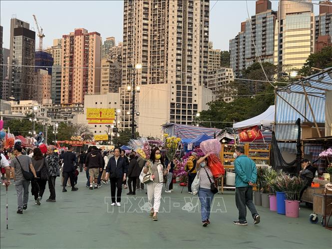 Hương xuân từ chợ hoa Tết tại Hong Kong (Trung Quốc) - Ảnh thời sự quốc ...