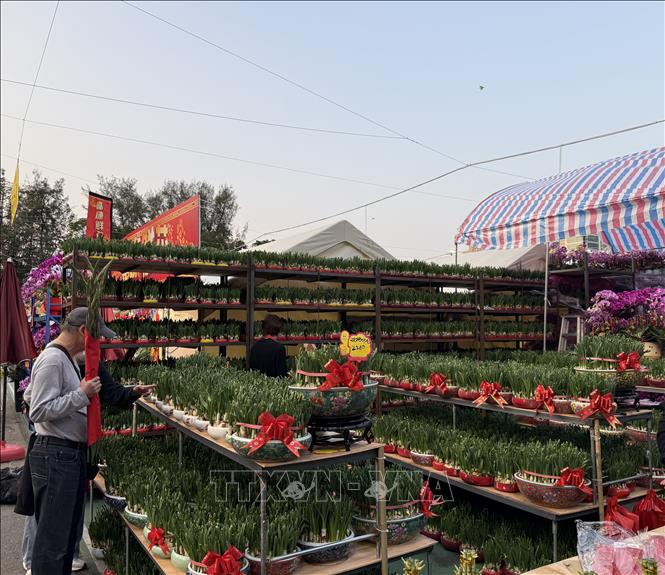 Thông tấn xã Việt Nam (TTXVN)