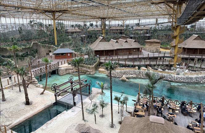 Một góc vườn nhiệt đới Edenya. Ảnh: Hương Giang - PV TTXVN tại Bỉ