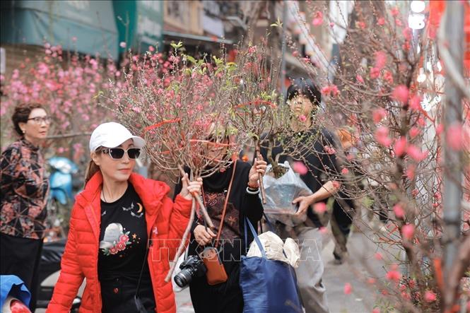 This year, the Hoan Kiem Ward People's Committee is expanding the flower market area to create an attractive destination for residents and tourists to enjoy and shop for Tet (Lunar New Year). The flower market will be held along the streets of Hang Luoc, Hang Khoai, Hang Ruoi, Hang Ma, and the mural street of Phung Hung. VNA Photo: Minh Quyết