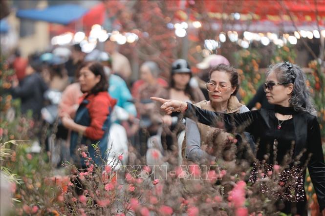 Visitors at Hang Luoc flower market. VNA Photo: Minh Quyết