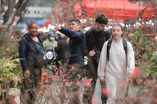 Foreign tourists visit Hang Luoc flower market. VNA Photo: Minh Quyết