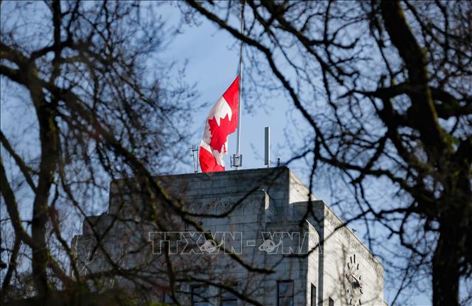 Tòa Thị chính Vancouver ở British Columbia, Canada treo cờ rủ tưởng niệm các nạn nhân thiệt mạng trong vụ xả súng, ngày 11/2/2026. Ảnh: THX/TTXVN