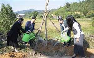 Toyota Việt Nam: Dấu ấn hành trình xanh hóa học đường và cam kết chiến lược 2025 - 2028