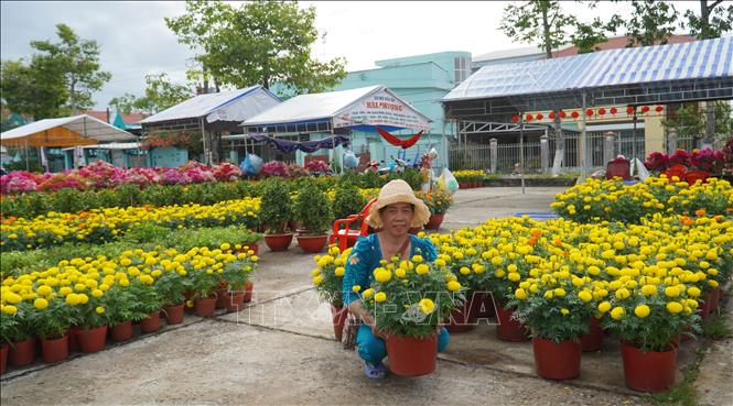 Tiểu thương bán hoa tết ở chợ Gò Quao, An Giang mong bán hết sớm để về quê vui Xuân, đón Tết. Ảnh: Văn Sĩ - TTXVN                                      