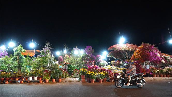 Thị trường hoa tết tại phường Rạch Giá, An Giang những ngày qua khá trầm lắng. Ảnh: Văn Sĩ - TTXVN       