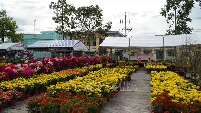 Thị trường hoa tết tại chợ Gò Quao, An Giang những ngày qua cũng khá trầm lắng. Ảnh: Văn Sĩ - TTXVN                                      