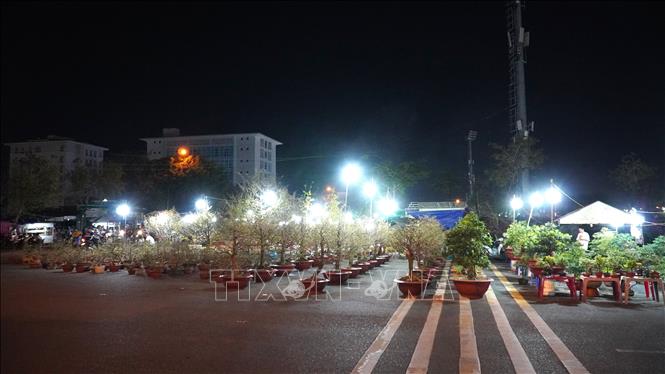 Thị trường hoa tết tại phường Rạch Giá, An Giang những ngày qua khá trầm lắng. Ảnh: Văn Sĩ - TTXVN       