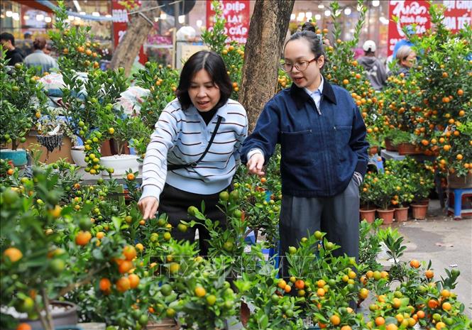 A corner of the Hang Luoc flower market in Hanoi's Old Quarter. VNA Photo: Khánh Hoà 