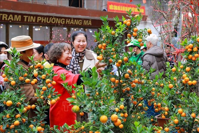 Many Hanoi residents prefer immersing themselves in the bustling crowds in the days leading up to Tet. VNA Photo: Khánh Hoà 