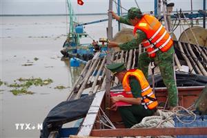 Khắc phục "thẻ vàng" IUU: Đà Nẵng thông qua chính sách hỗ trợ phát triển thủy sản