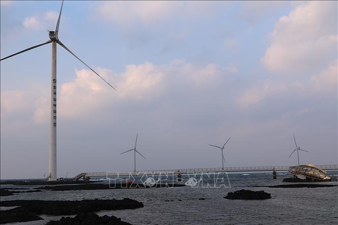 Điện gió Sinchang thuộc phía Tây đảo Jeju. Ảnh Khánh Vân - TTXVN tại Hàn Quốc