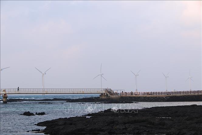 Dự án điện gió phía Tây đảo Jeju. Ảnh Khánh Vân - TTXVN tại Hàn Quốc