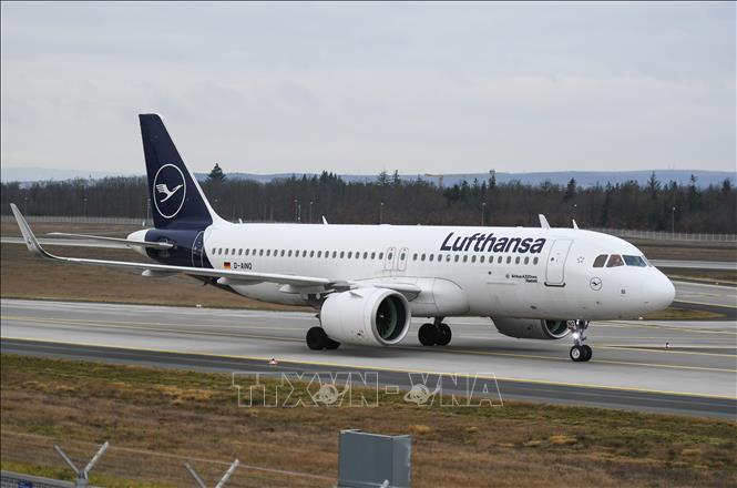 Máy bay của Hãng hàng không Lufthansa tại sân bay ở Frankfurt, Đức. Ảnh: THX/TTXVN