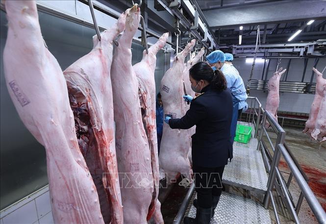 Nhân viên đóng dấu kiểm dịch động vật lên sản phẩm, ở nhà máy của Công ty Vinh Anh. Ảnh: Vũ Sinh - TTXVN