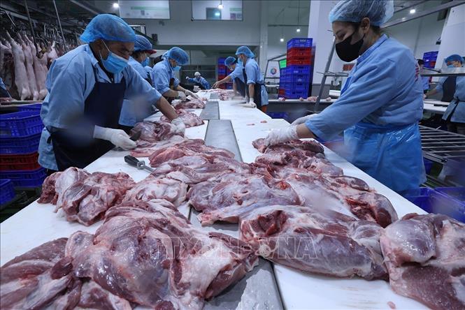 Pha lóc, phân loại sản phẩm thịt lợn, ở nhà máy của Công ty Vinh Anh. Ảnh: Vũ Sinh - TTXVN