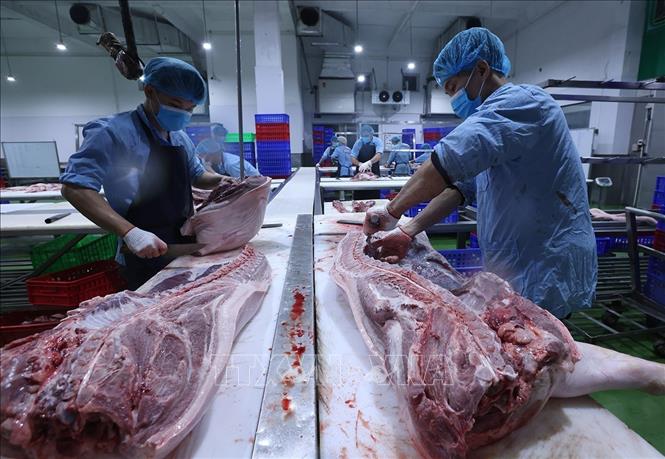 Pha lóc, phân loại sản phẩm thịt lợn, ở nhà máy của Công ty Vinh Anh. Ảnh: Vũ Sinh - TTXVN