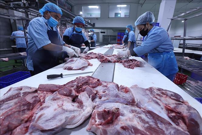 Pha lóc, phân loại sản phẩm thịt lợn, ở nhà máy của Công ty Vinh Anh. Ảnh: Vũ Sinh - TTXVN