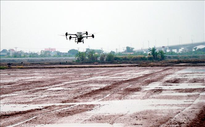 Gieo sạ lúa bằng thiết bị bay không người lái trên diện tích canh tác của Hợp tác xã thanh niên Nam Đại Dương (xã Nghĩa Hưng, tỉnh Ninh Bình). Ảnh: Nguyễn Lành - TTXVN 