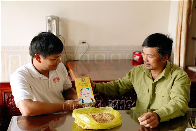 Anh Lương Văn Trường (trái) giới thiệu sản phẩm gạo mầm tươi. Ảnh: TTXVN phát