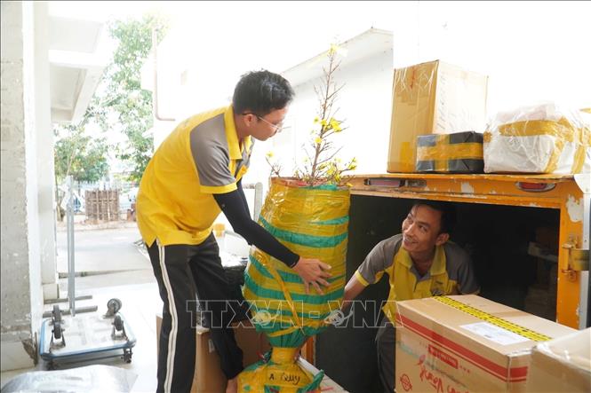 Thông tấn xã Việt Nam (TTXVN)