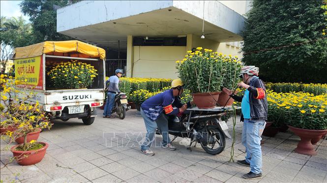 Sau khi được mua, các chậu hoa được vận chuyển đi từ chợ hoa. Ảnh: Võ Văn Dũng - TTXVN