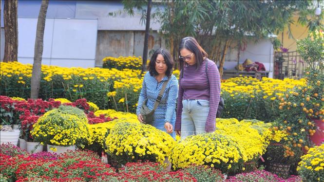 Người dân tham quan, mua sắm tại chợ hoa Tết. Ảnh: Võ Văn Dũng - TTXVN