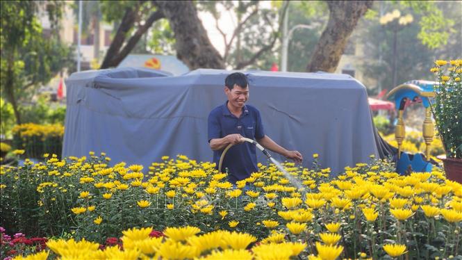 Chăm sóc các chậu hoa Tết. Ảnh: Võ Văn Dũng - TTXVN