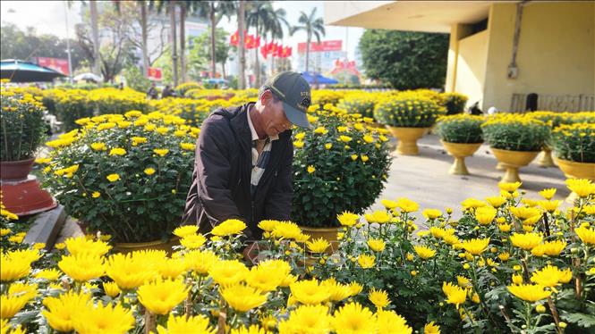 Chăm sóc các chậu hoa Tết. Ảnh: Võ Văn Dũng - TTXVN
