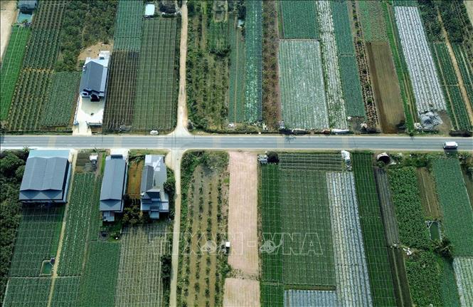 Vùng chuyên canh sản xuất rau tại bản Hợp 3 Văn Tiên, xã Chiềng Mai, tỉnh Sơn La có tuyến đường tránh đi qua nên rất thuận lợi tiêu thụ nông sản. Ảnh: Quang Quyết - TTXVN