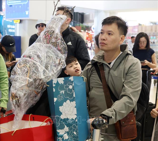 Một hành khách mang mùa Xuân miền Bắc vào miền Trung đón Tết cổ truyền tại sân bay Nội Bài. Ảnh: Quốc Khánh - TTXVN