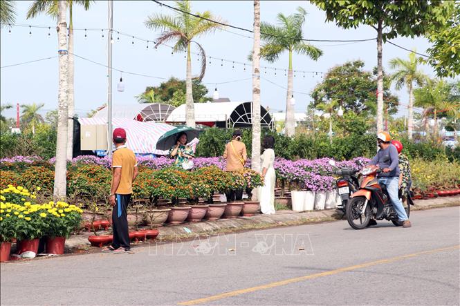 Người dân thành phố tranh thủ những ngày nghỉ sớm để tham quan, chụp ảnh và lựa chọn những chậu hoa ưng ý nhất. Ảnh: Trung Kiên - TTXVN
