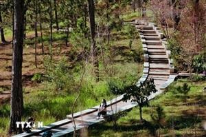 Lâm Đồng: Thăm giảng đường "đẹp không góc chết" ngay lòng Đà Lạt