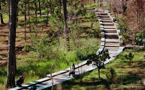 Trường Đại học Đà Lạt - Điểm đến lý thú dành cho du khách