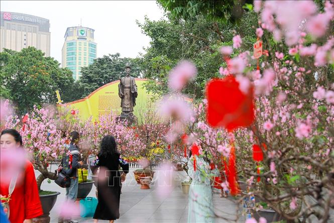 Sắc Xuân rực rỡ tại không gian hoa xuân tại Vườn hoa Lý Thái Tổ. Ảnh: Khánh Hoà - TTXVN